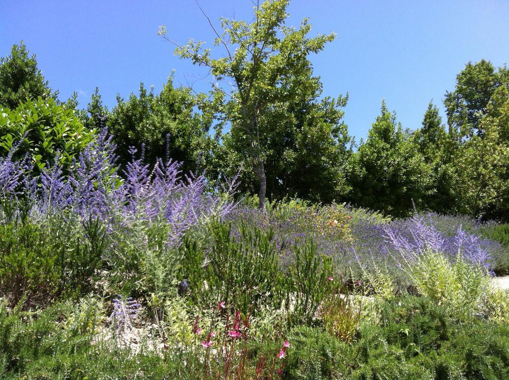 Il Casale Di Giulia Sirolo Exterior foto